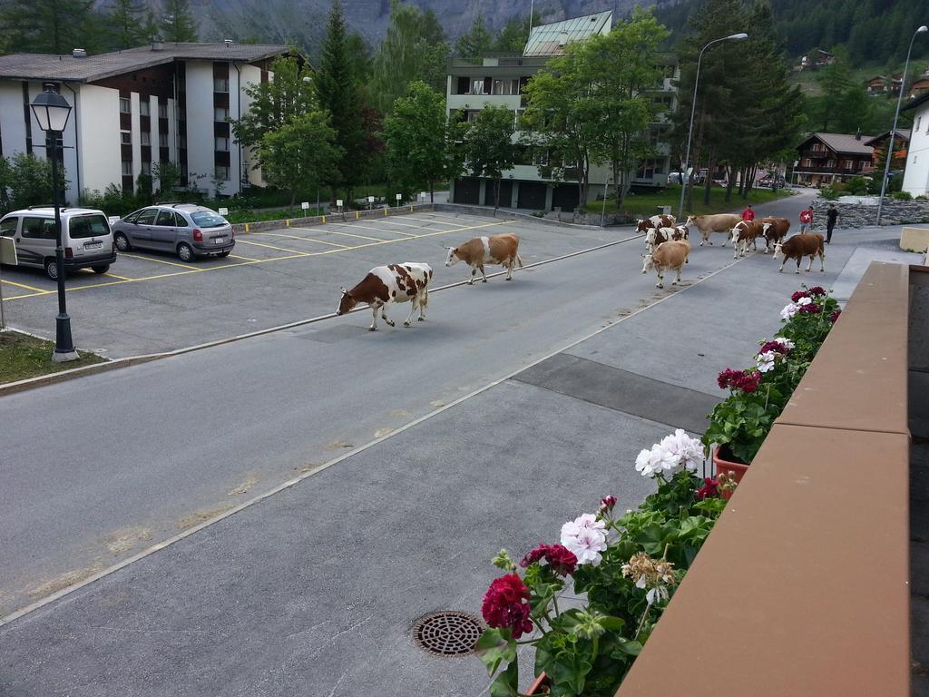 Haus Marmotta Daire Leukerbad Dış mekan fotoğraf