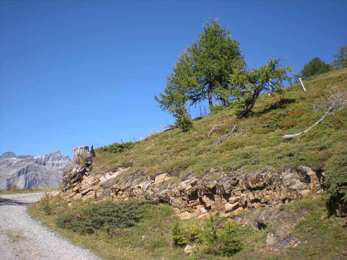 Haus Marmotta Daire Leukerbad Dış mekan fotoğraf